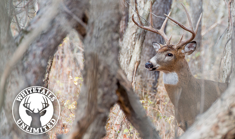 Whitetails Unlimited Archers USA